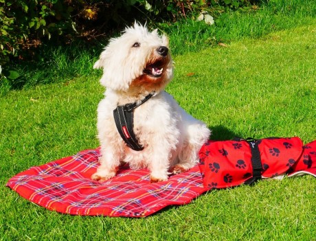 2026 Finalists - Jacwicks Design