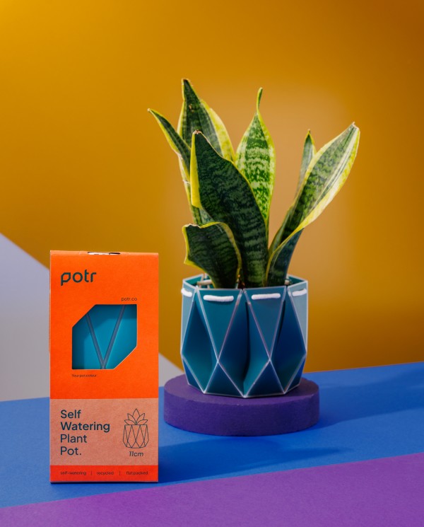 Ethical and Sustainable Gift