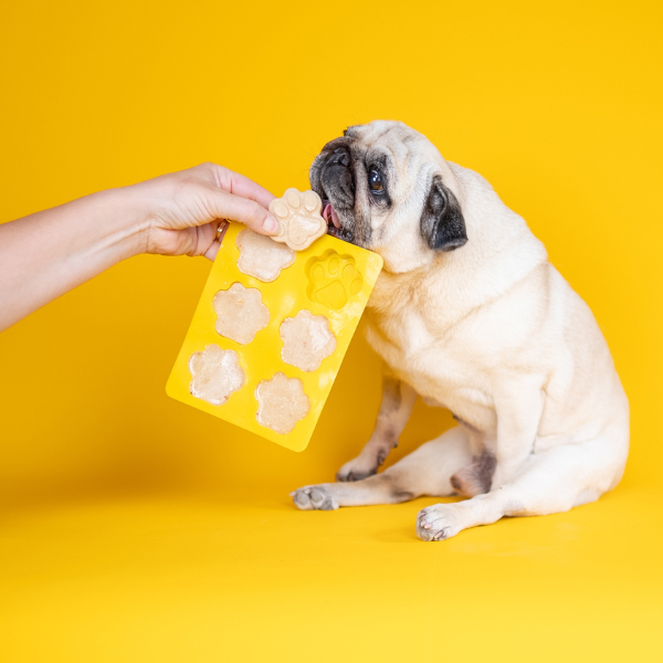 Dog & Bond Dog With Doggy Ice-Cream Kit 