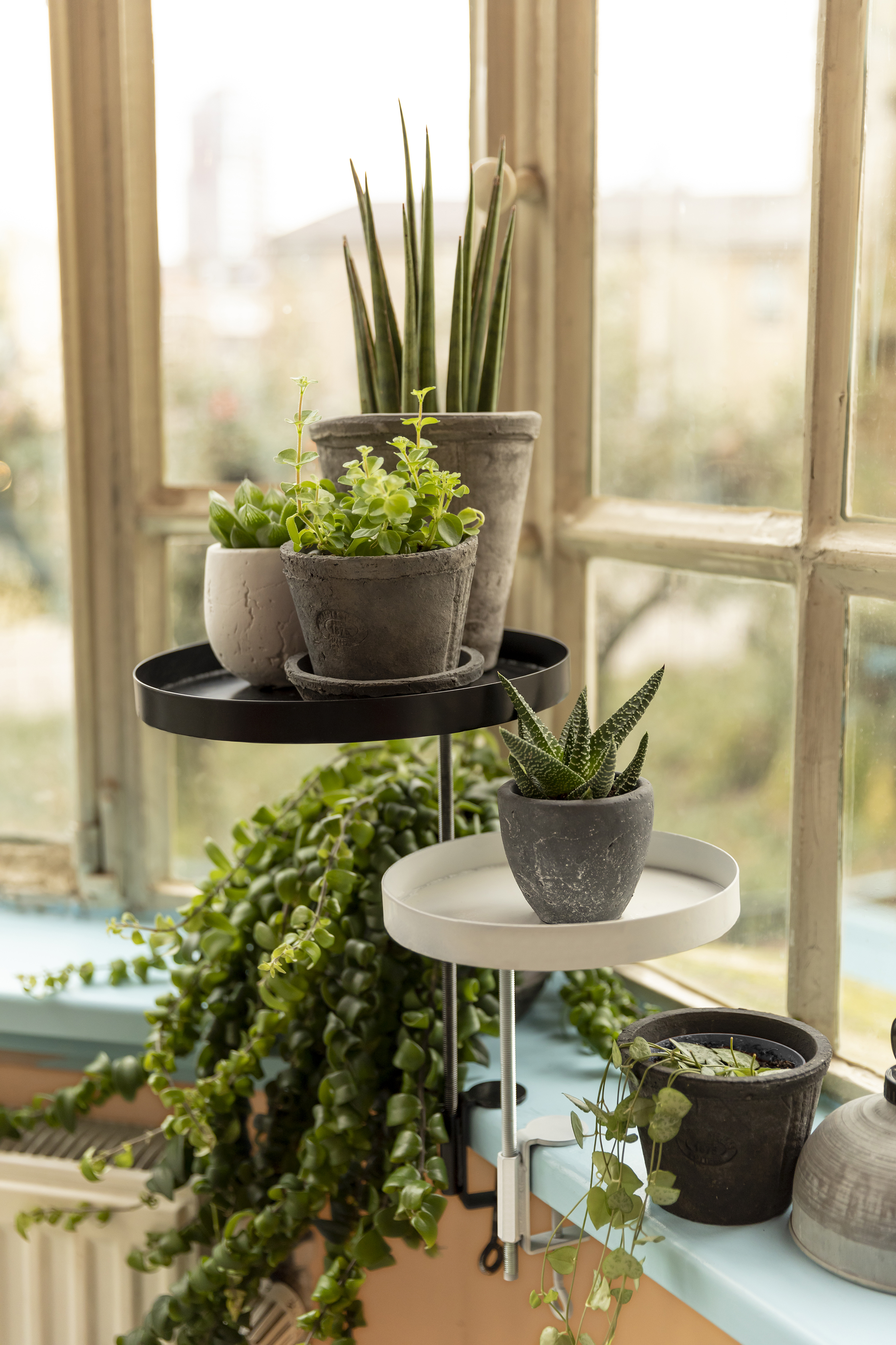 window dressing by esschert design WINDOW DRESSING - WIT