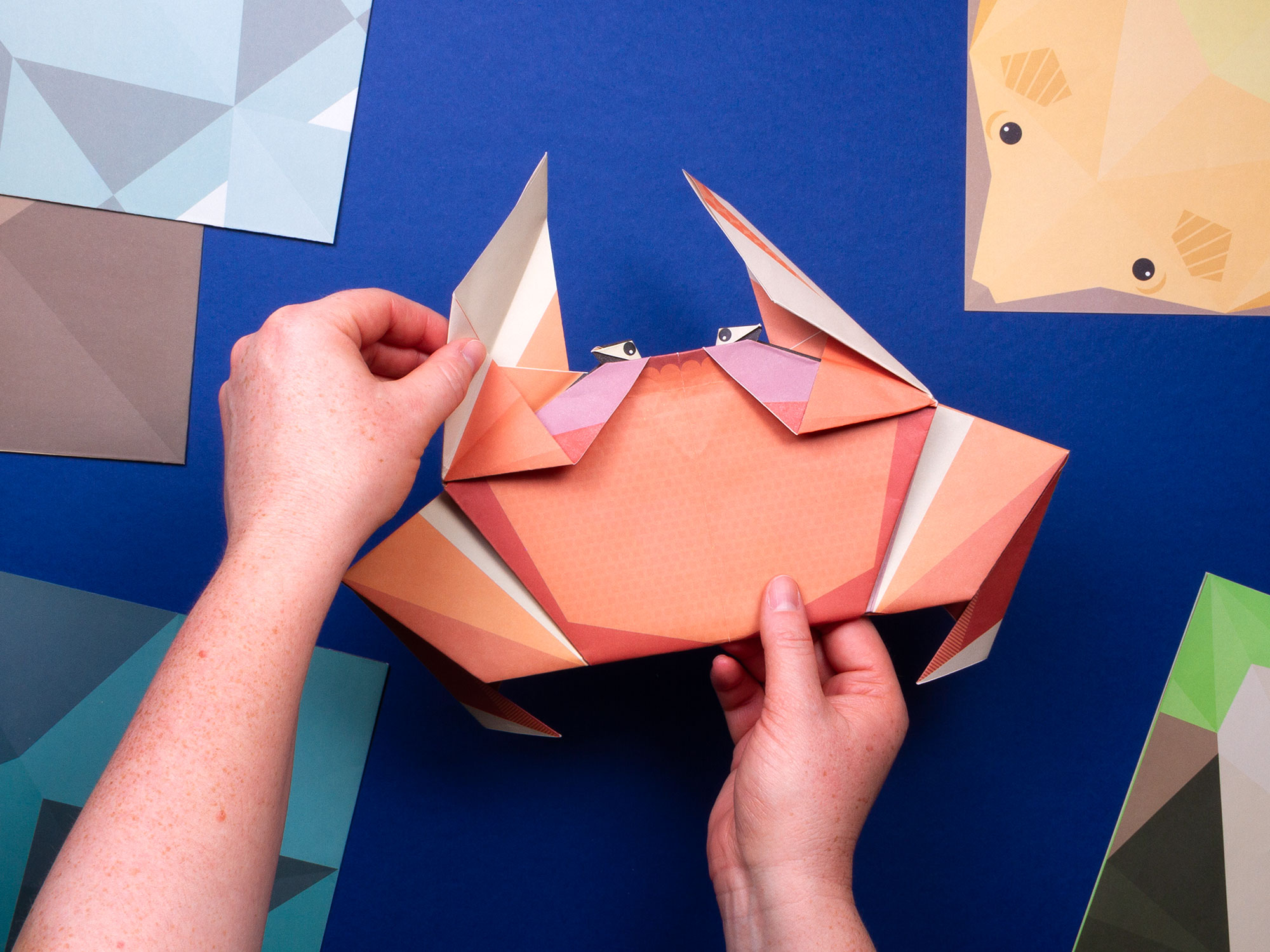 Create Your Own Giant Ocean Origami