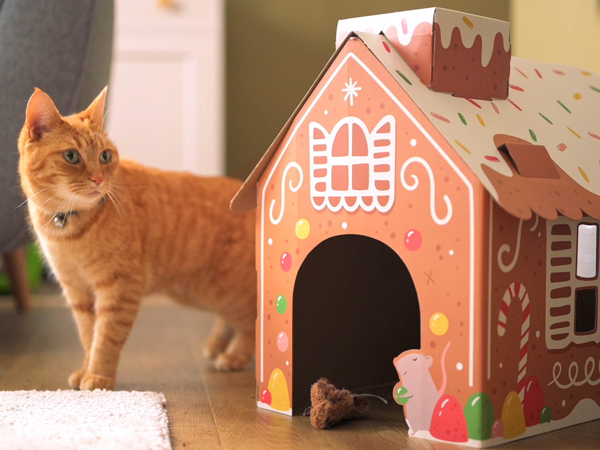 Festive Gingerbread Cat Playhouse - Main Image