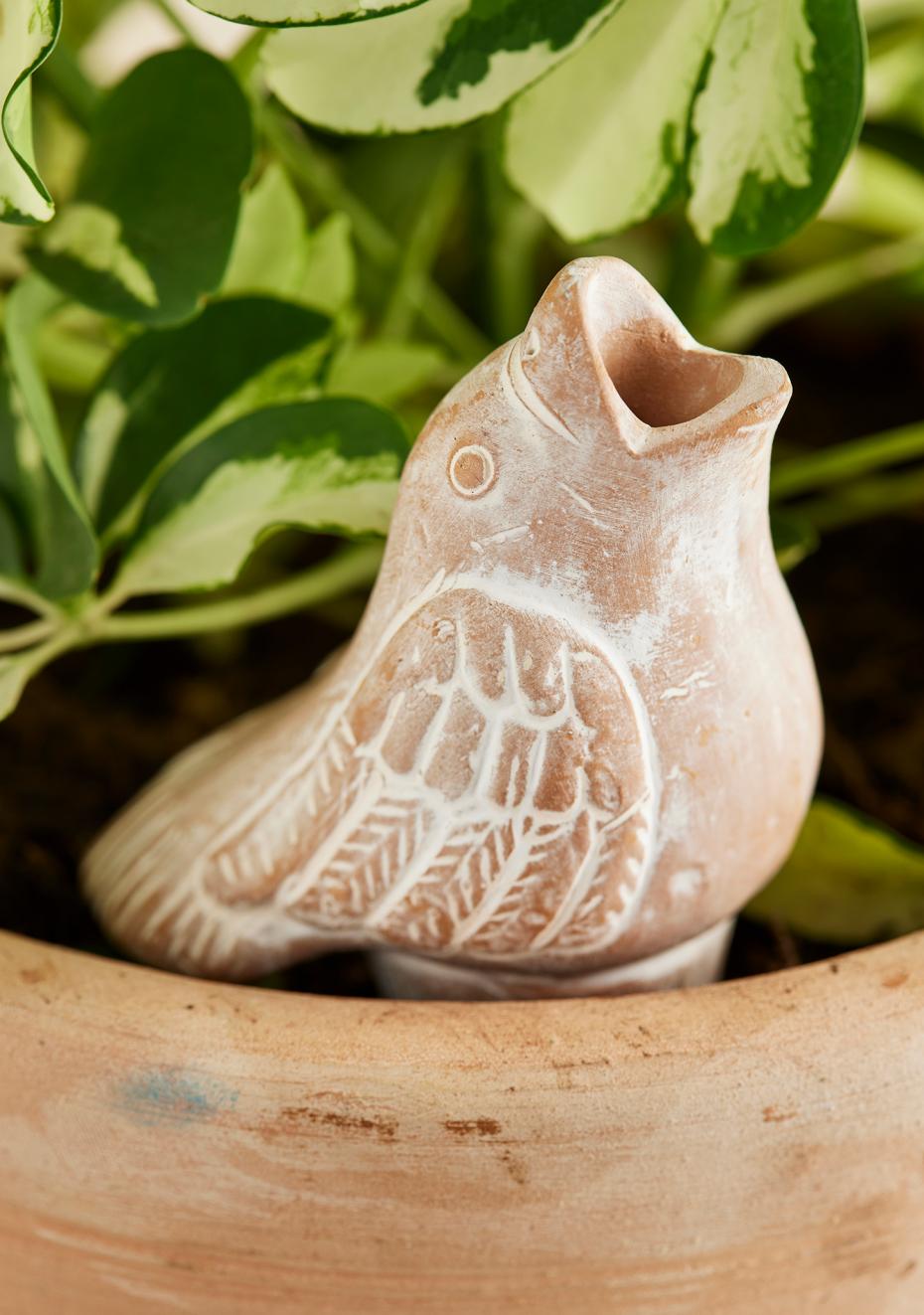 Terracotta Bird Plant Watering Spike