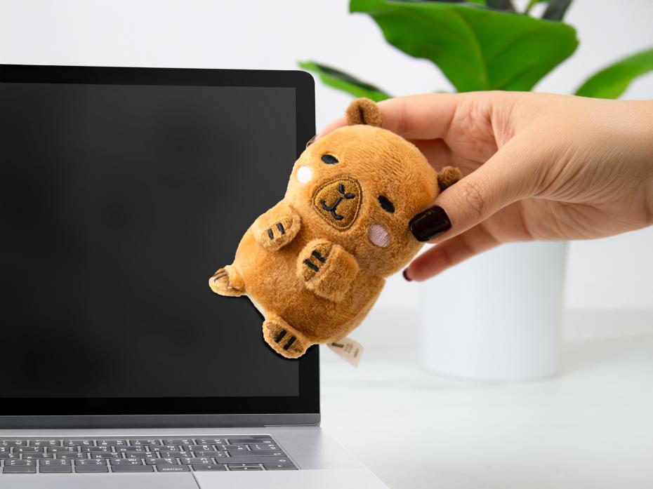 Screen Cleaners - Capybara 3