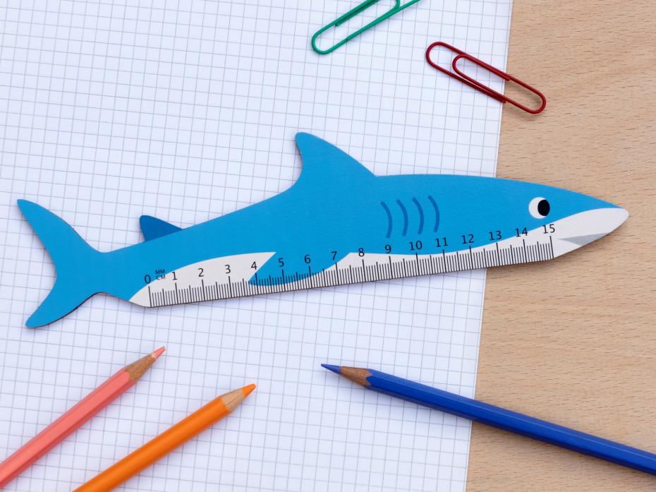 Wooden shark ruler