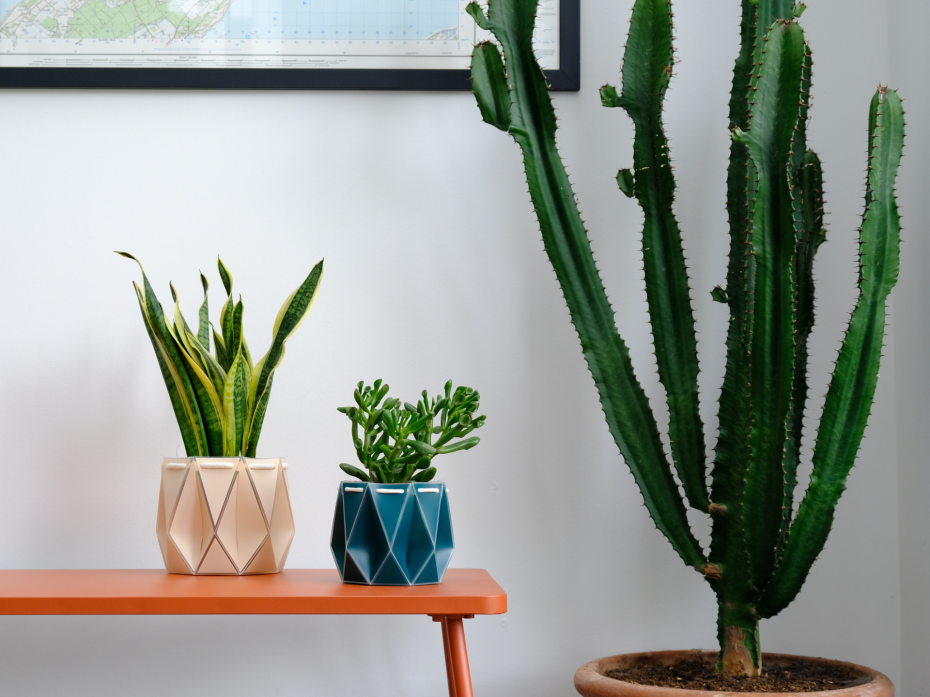 11cm POTR Pot - Dark Teal + 15cm POTR Pot - Ivory