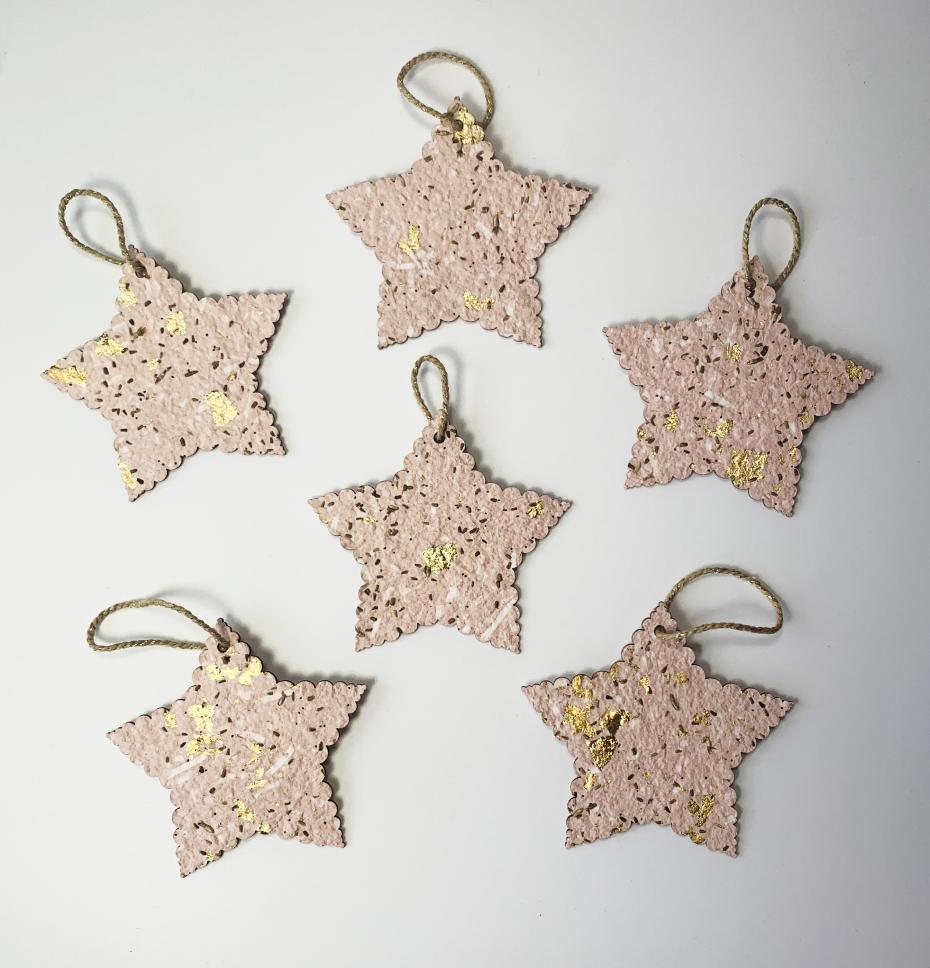 Scalloped Star Plantable Christmas Tree Decorations