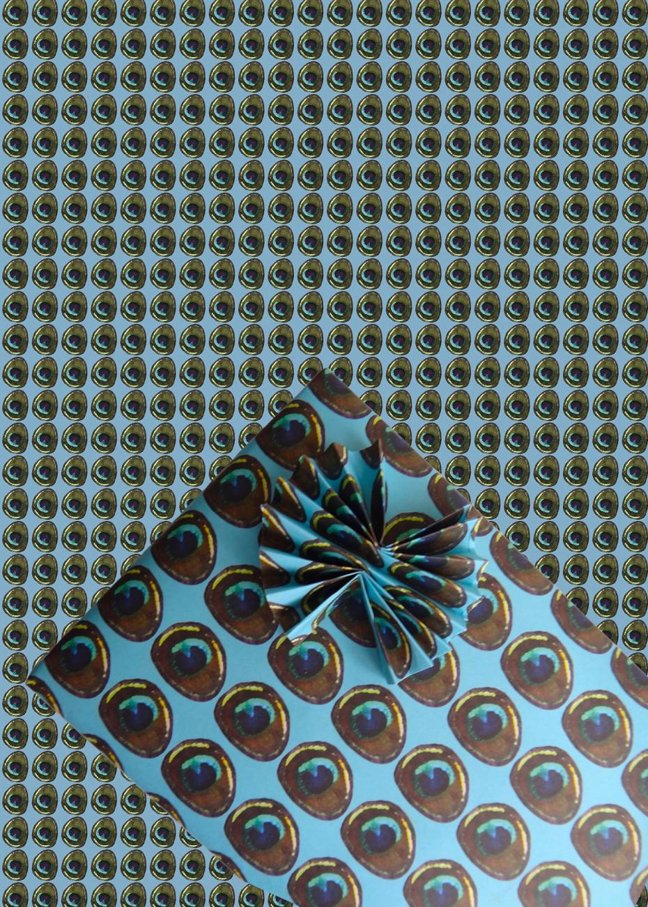 Eco-friendly Wrapping Paper - Peacock Feather