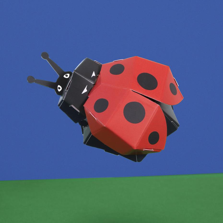 Create Your Own Lovely Ladybird