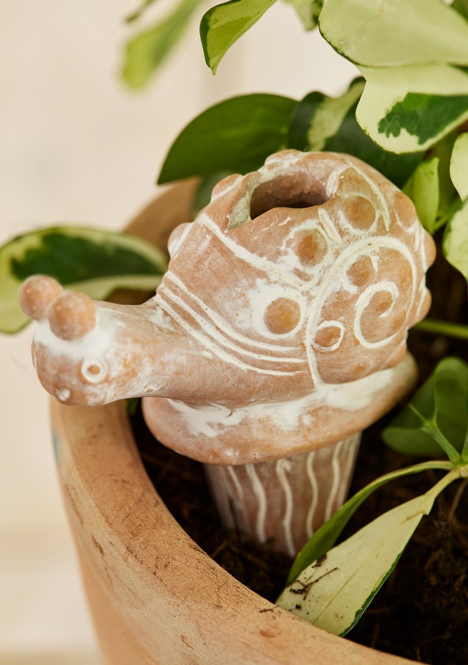 Terracotta Snail Plant Watering Spike