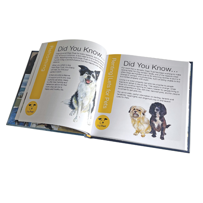 Animal Shelter Dogs Trust Christmas Gifts 2024 Dogs Dogs Trust