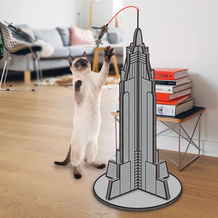 Cat Kong