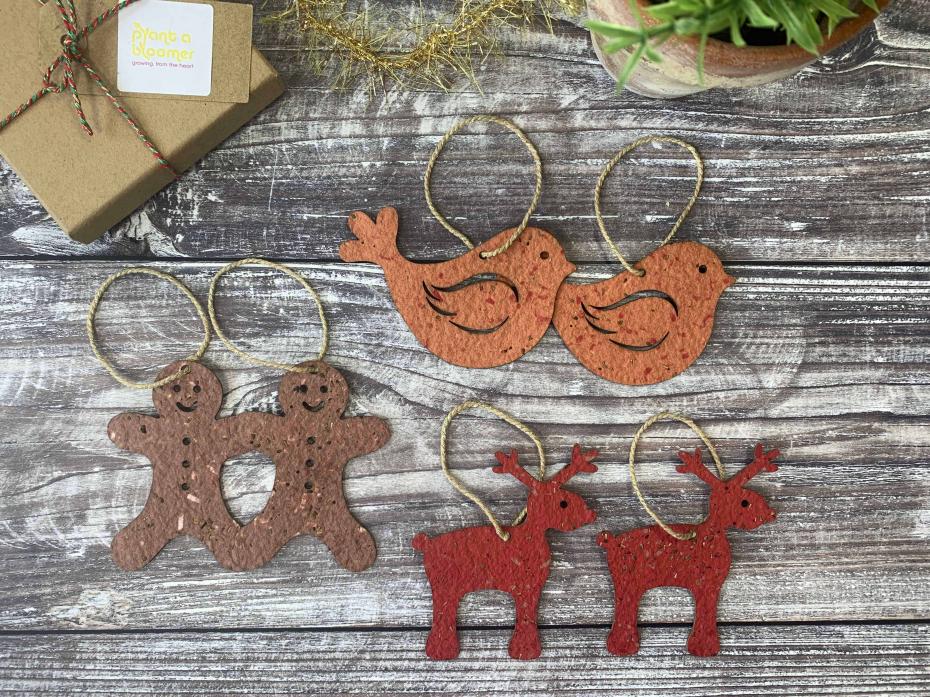 Children's Plantable Christmas Tree Decorations