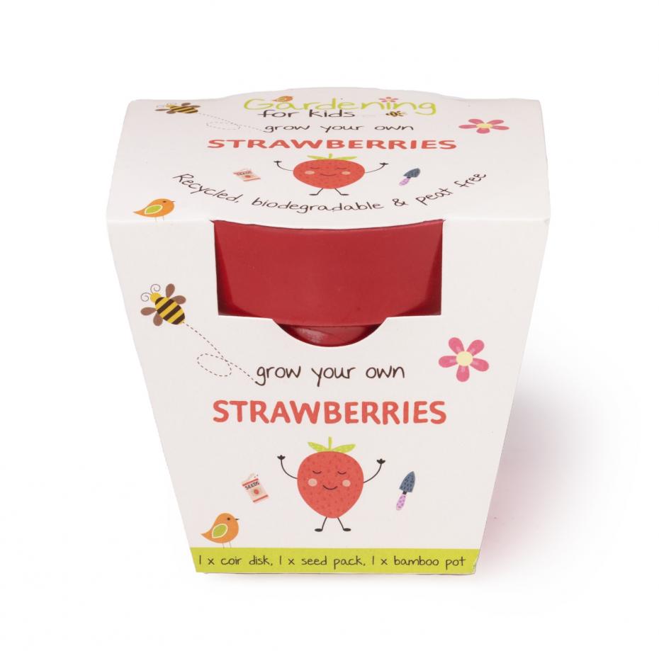 Children's Strawberries Growing Kit