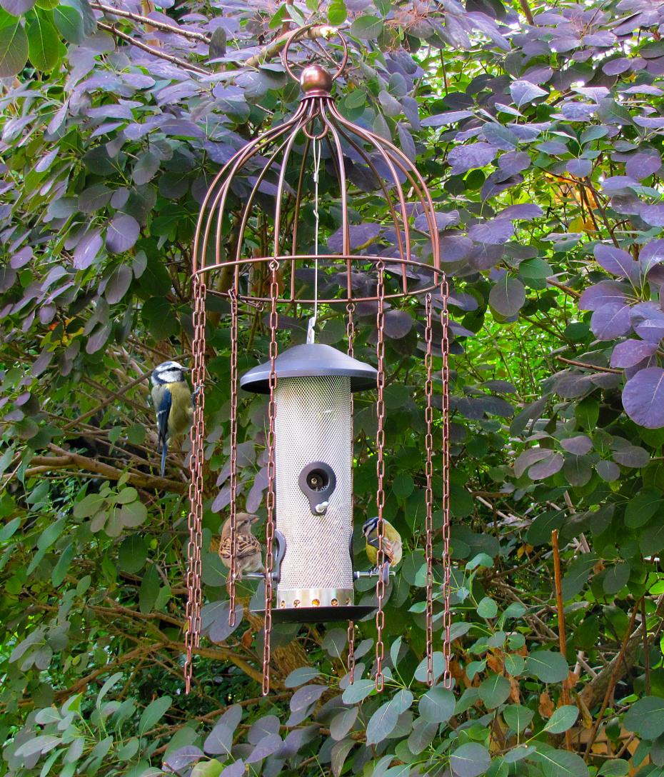 Simon King Medusa Bird Feeder Defender