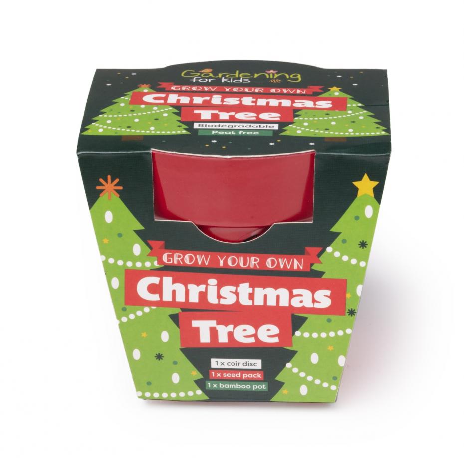 Grow Your Own Christmas Tree Growing Kit