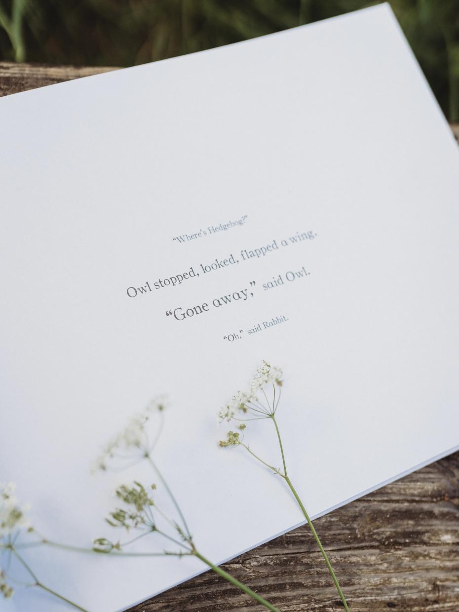 About Hedgehog child bereavement book