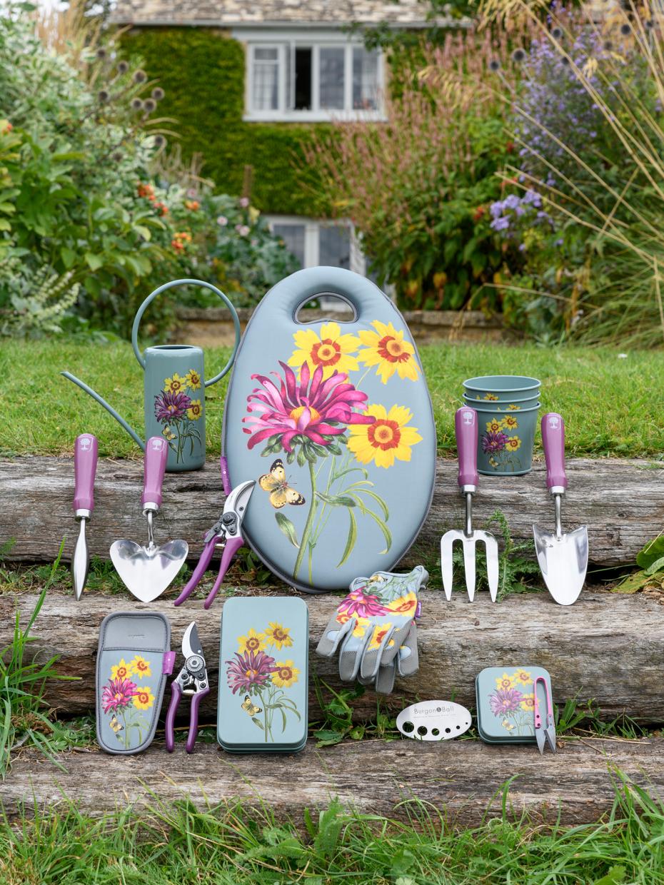 RHS Gifts for Gardeners 'Asteraceae' collection