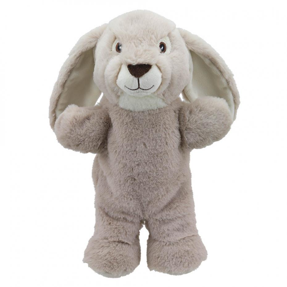 Bunny Rabbit
