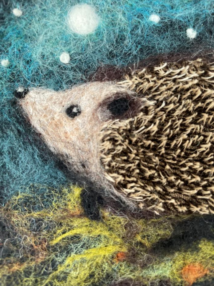 Close up of our Hedgehog