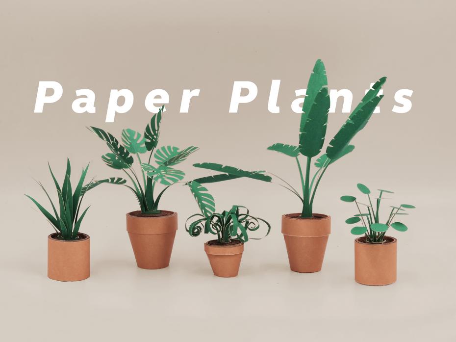 Paper Plants by Pikkii