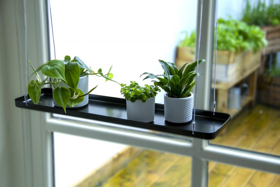 Rectangular Hanging Tray