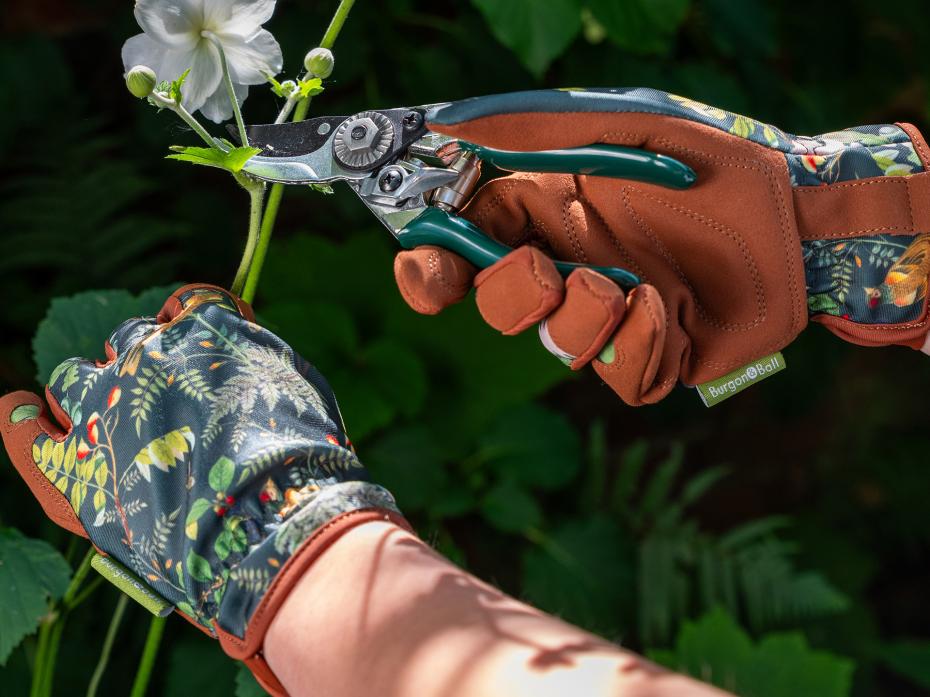 Burgon and Ball RHS Gifts for Gardeners 'Woodland Wonders' gloves and pruner