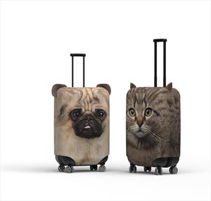 Animal Suitcases