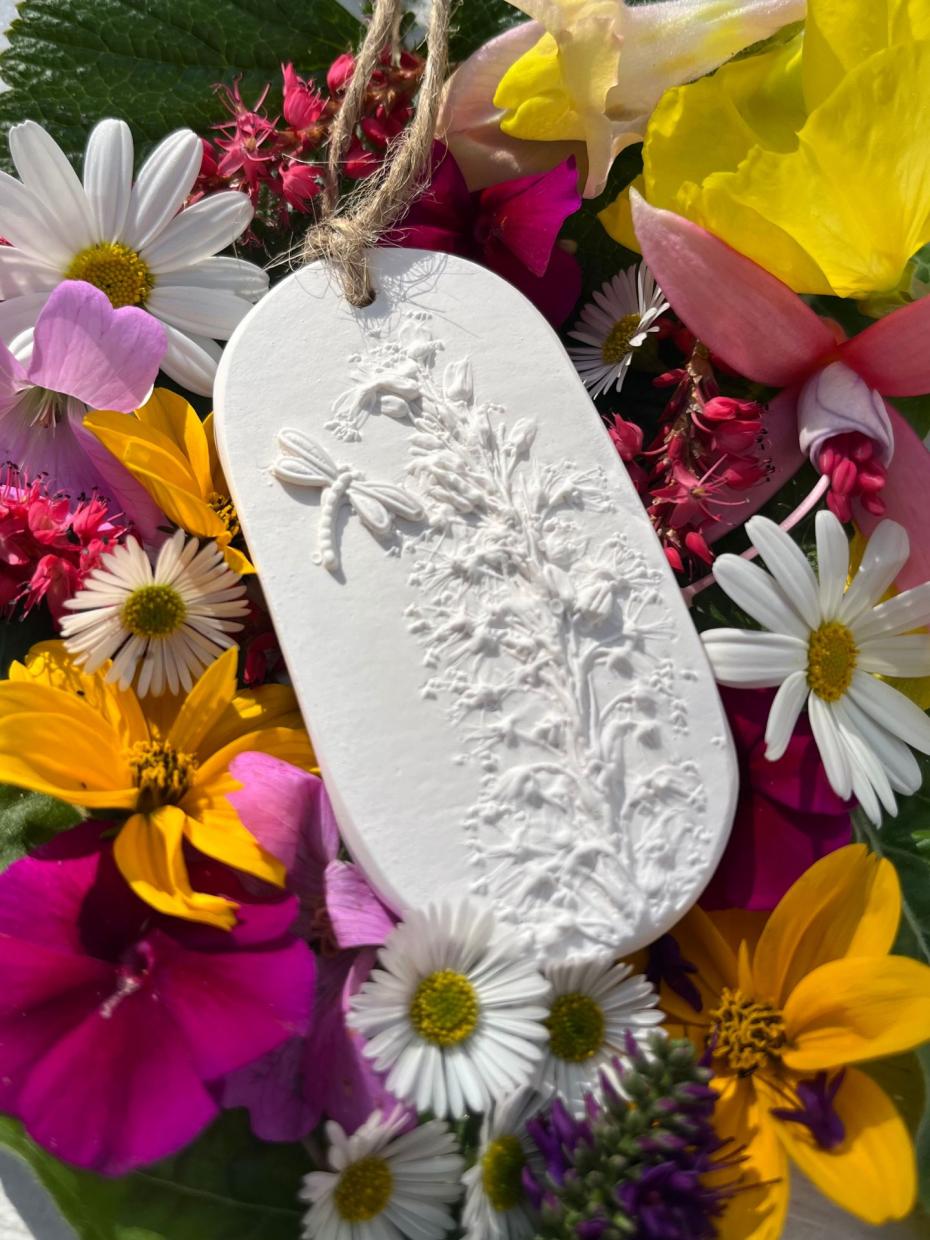 The Foxglove Tree Dragonfly and Persicaria Diffuser