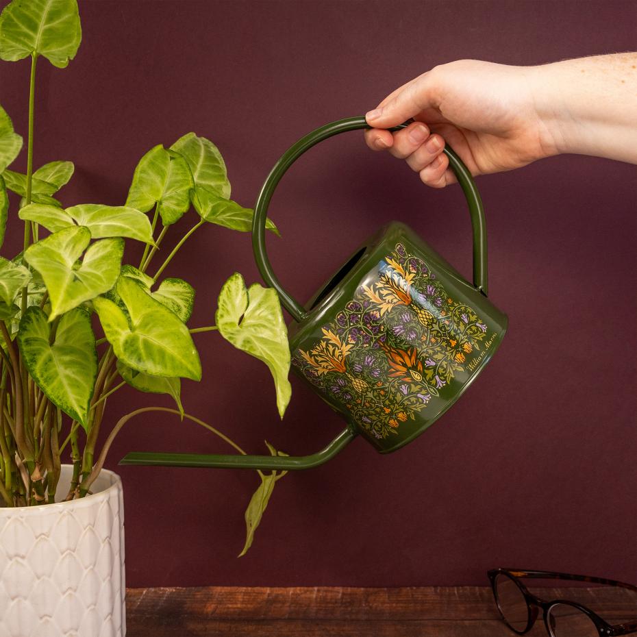 William Morris Indoor Watering Can