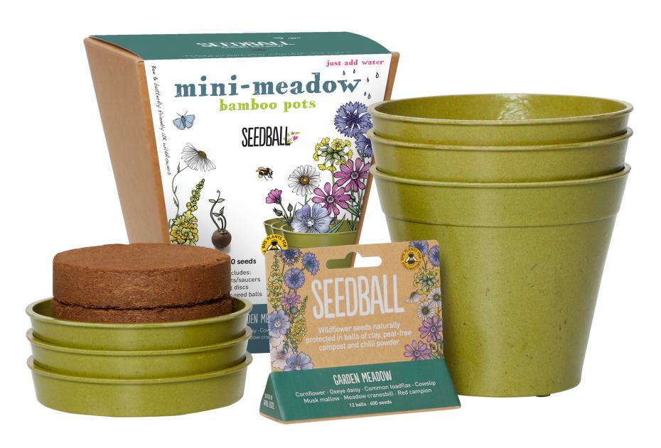 Mini Meadow Bamboo Pots Contents