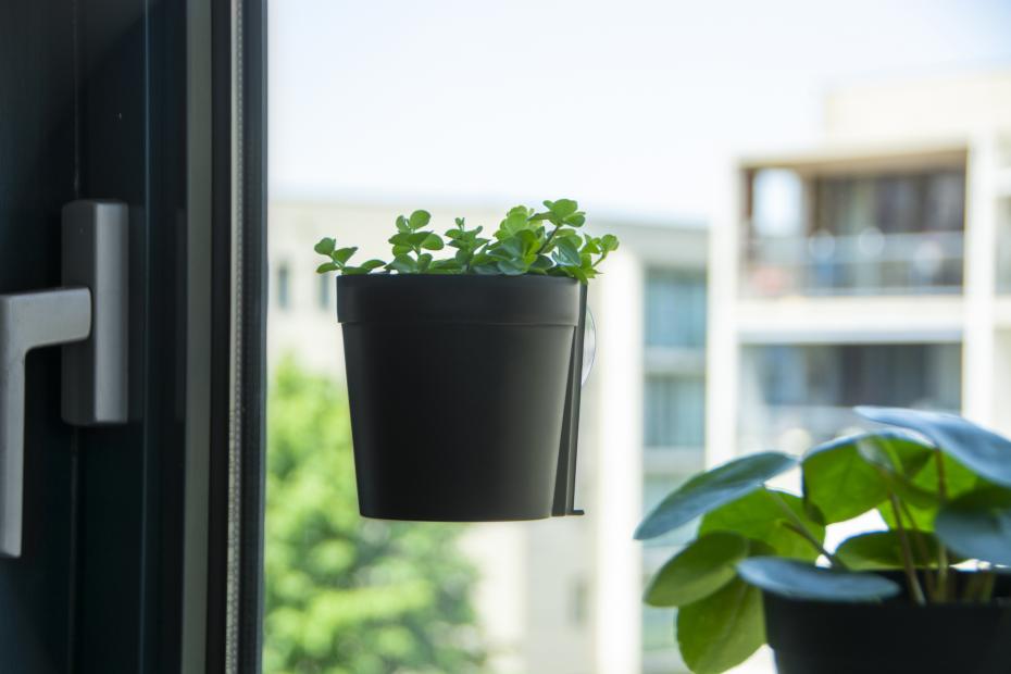 Window Flower Pots