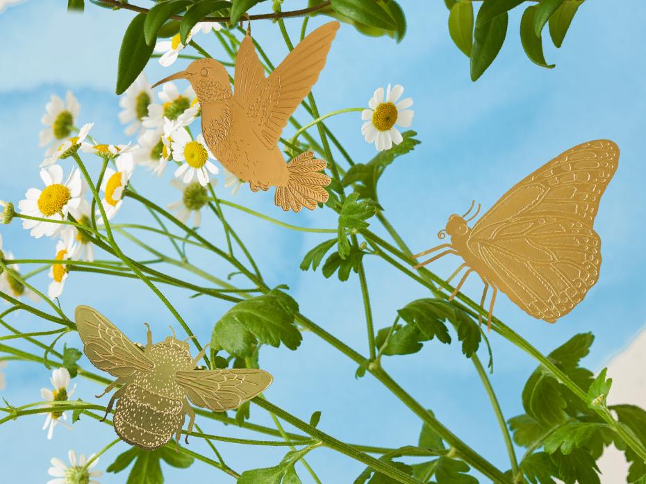 Plant Animals  (Pollinator range)