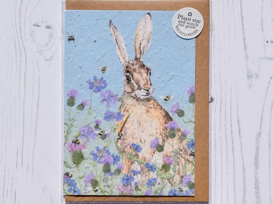 Wildflower Seed Card