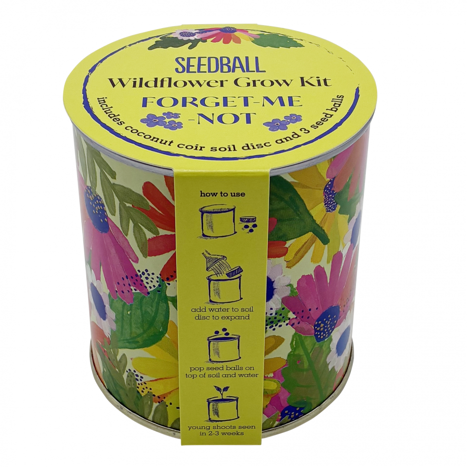 Wildflower Grow Kit - Forget-me-not