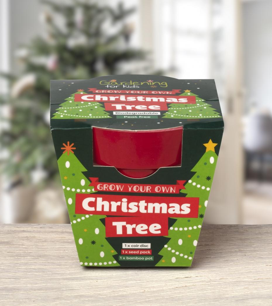 Grow Your Own Christmas Tree Growing Kit