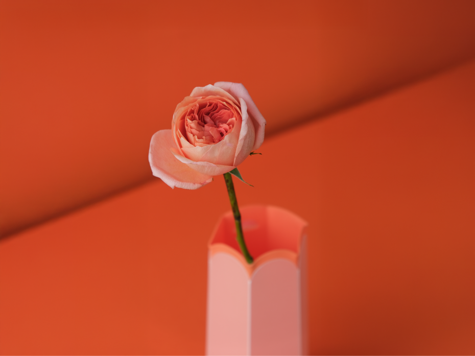 POTR Letterbox Vase - Melon (single stem)