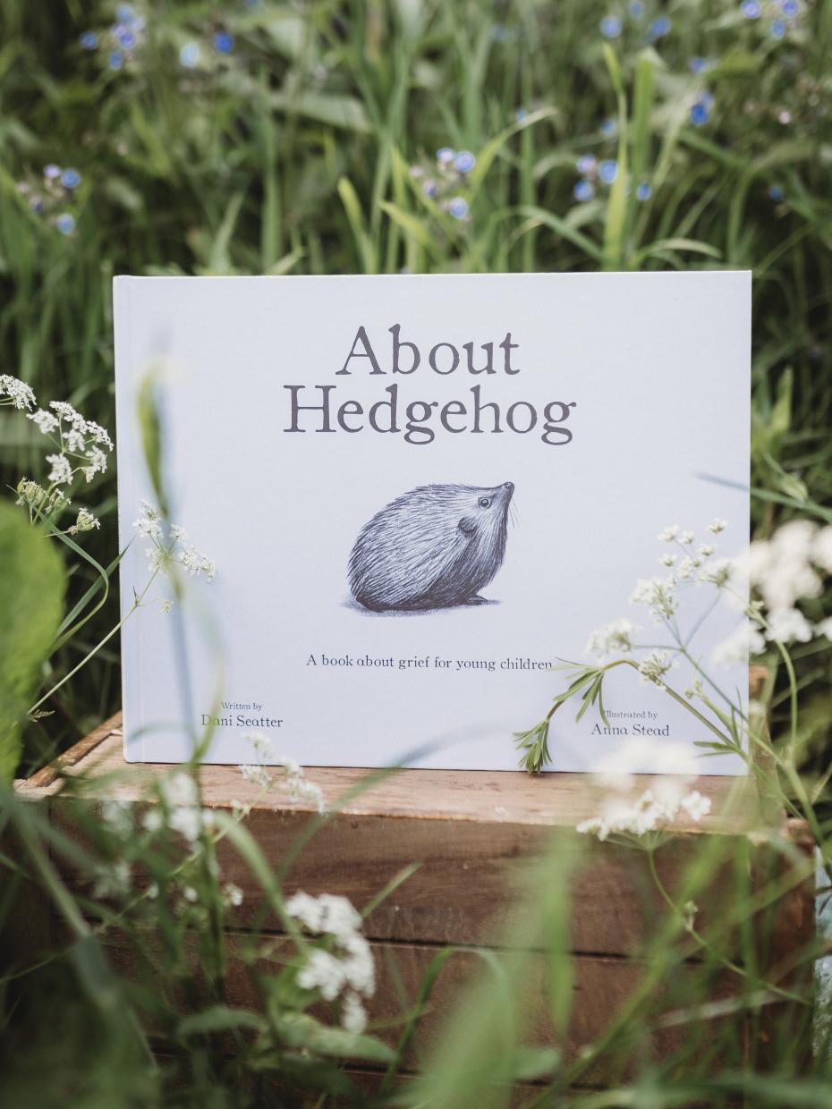 About Hedgehog children's book