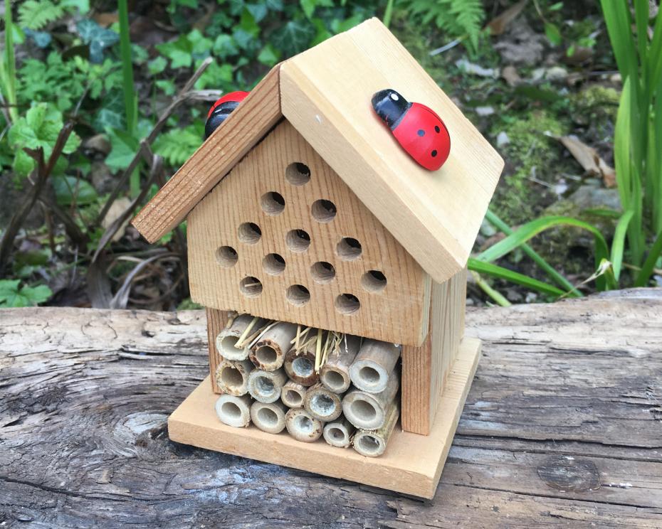Make Your Own Insect House