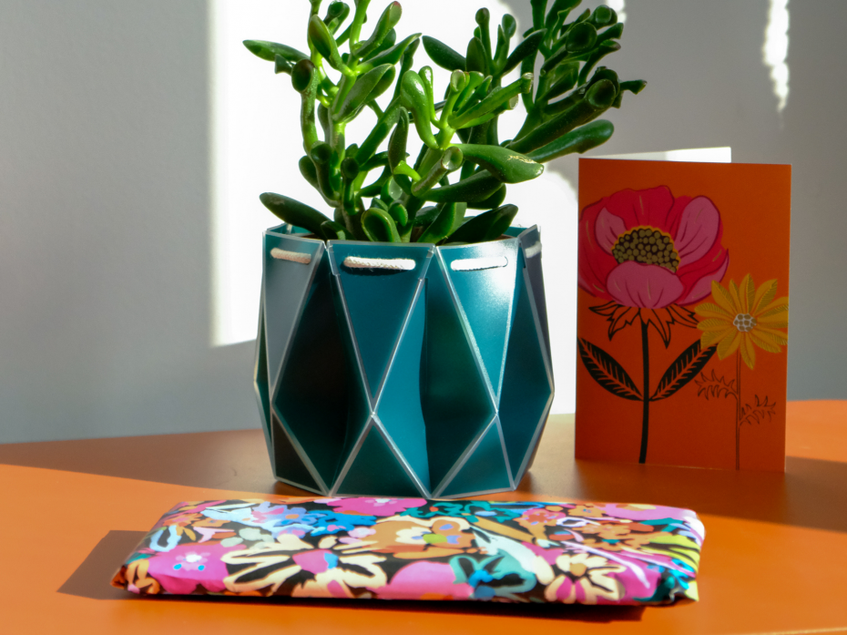 11cm POTR Pot Gift Wrapped