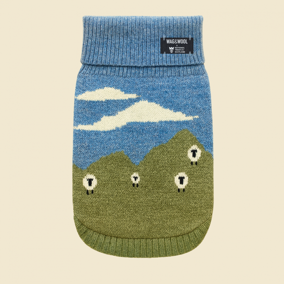 Scottish Blackface Sheep Dog Jumper