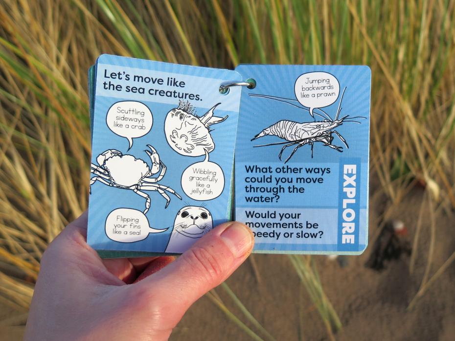 Active play on the beach with our coastal activity cards