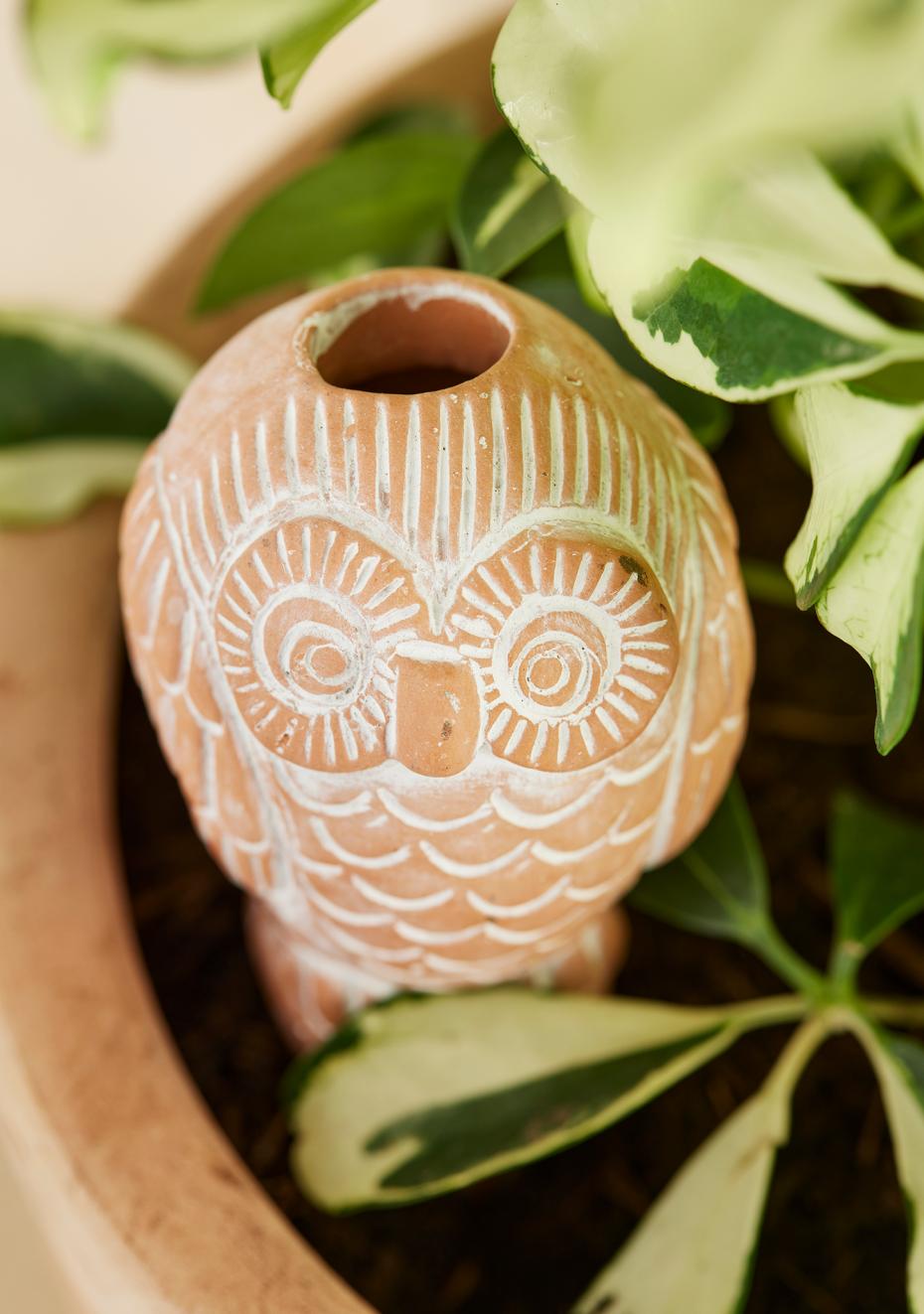 Terracotta Owl Plant Watering Spike