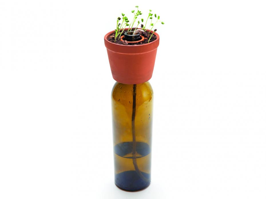 Kikkerland Bottle Planter - Action