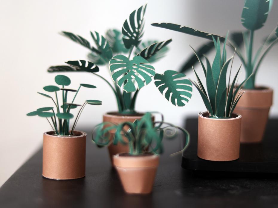 Pikkii Paper Plants Kit on a Desk