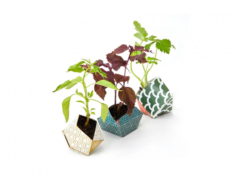 The three designs in the Japanese Collection