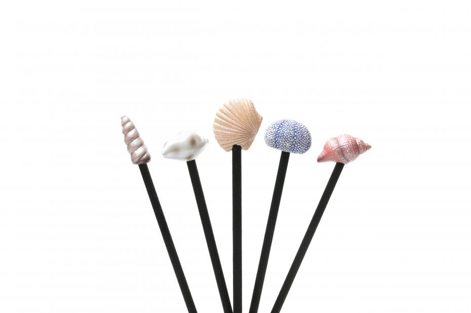 SEASHELL RANGE