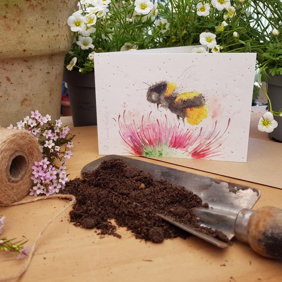 Plantable Seed Cards (Gifts to Grow range)
