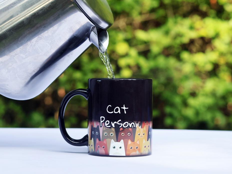 Crazy Cat Person Heat Change Mug by Pikkii Transforms When Pouring in Any Hot Drink