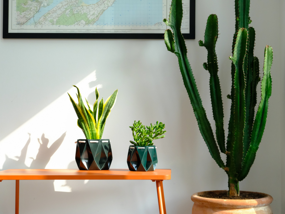 11cm + 15cm Ocean POTR Pot Duo